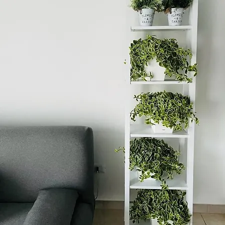 La Stella Di Chanel Casa vacanze *