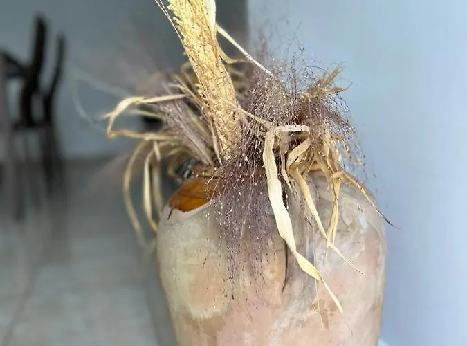 Dom wakacyjny La Stella Di Chanel *