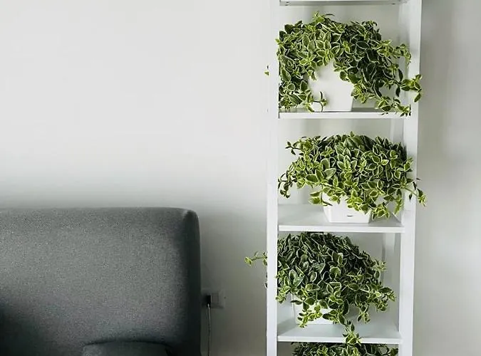 La Stella Di Chanel Dom wakacyjny *