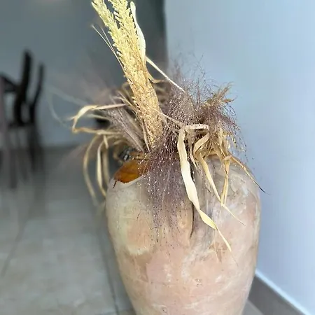 בית נופש La Stella Di Chanel *